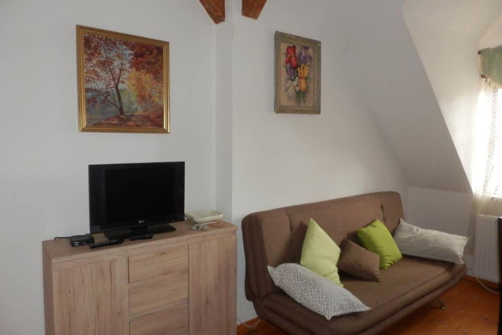 Zamecek Zdiky - Moderni Maly Apartman Bujanov Ngoại thất bức ảnh
